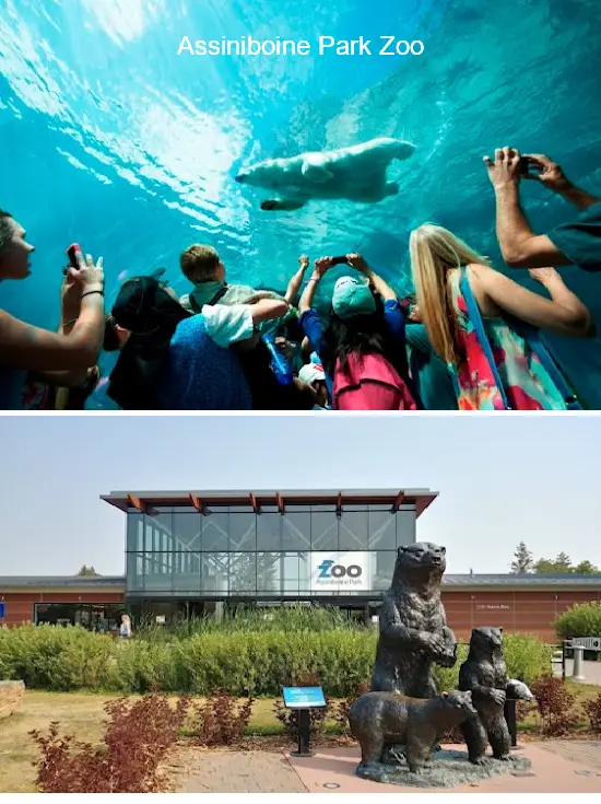 12 Must-Visit Gems in Winnipeg, Manitoba