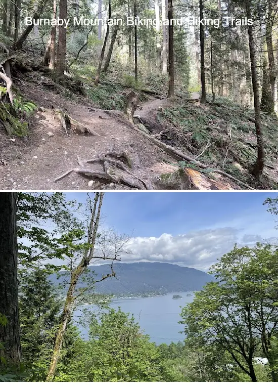 12 Must-Visit Gems in Burnaby, British Columbia